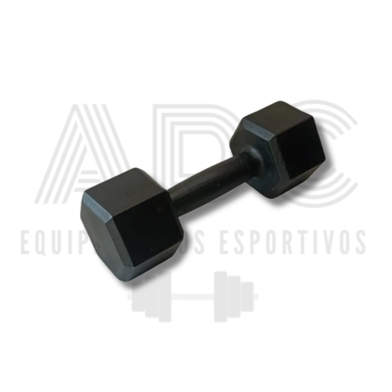 DUMBELL 28KG SEXTAVADO PINTADO